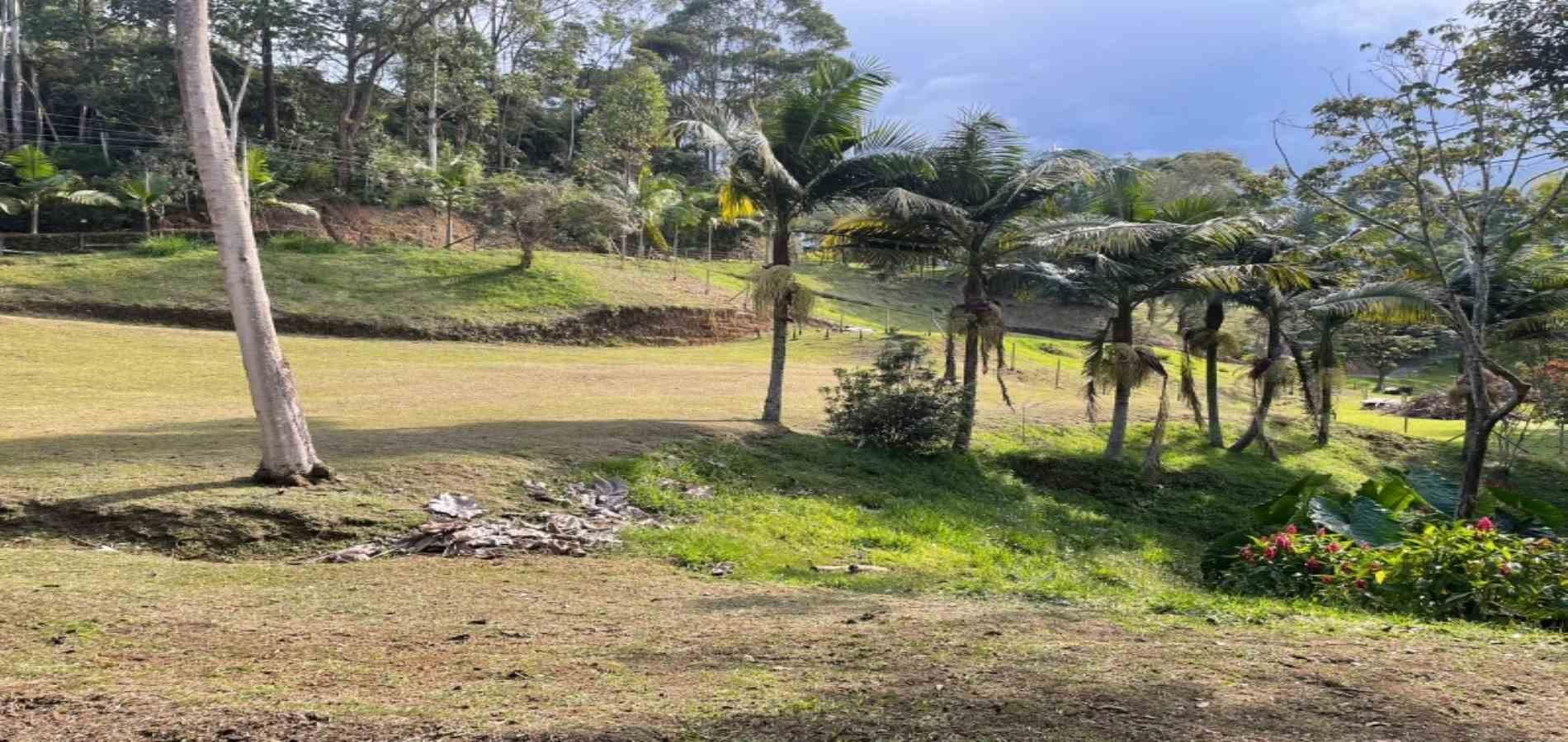 Lote en venta ubicado en Rionegro, sector Quirama - 15