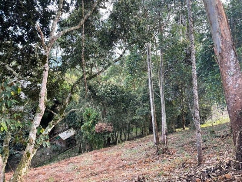 Lote en venta ubicado en Rionegro, sector Quirama - 2