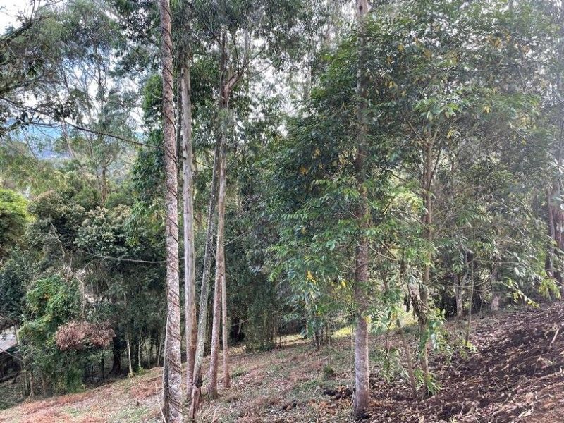 Lote en venta ubicado en Rionegro, sector Quirama - 4