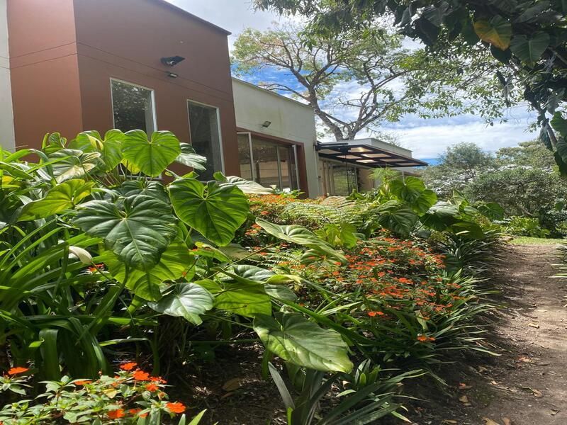 Finca en arriendo ubicada en La Ceja, sector El Tambo - 12