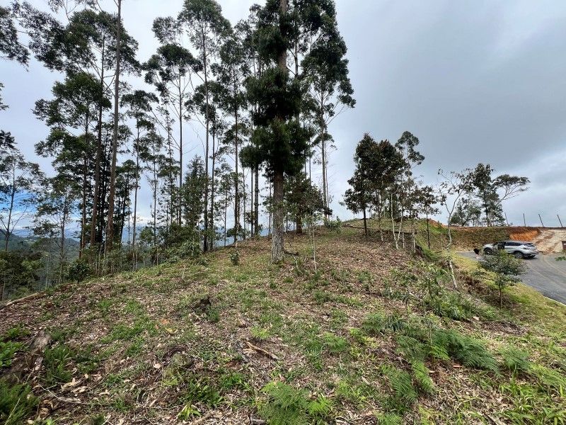 Lote en venta ubicado en El Retiro, sector Don Diego - 2