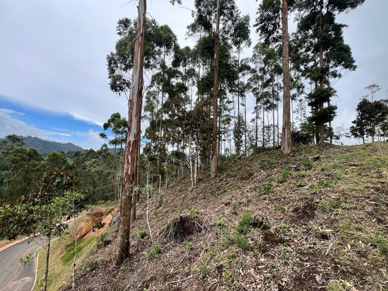 Lote en venta ubicado en El Retiro, sector Don Diego - 3