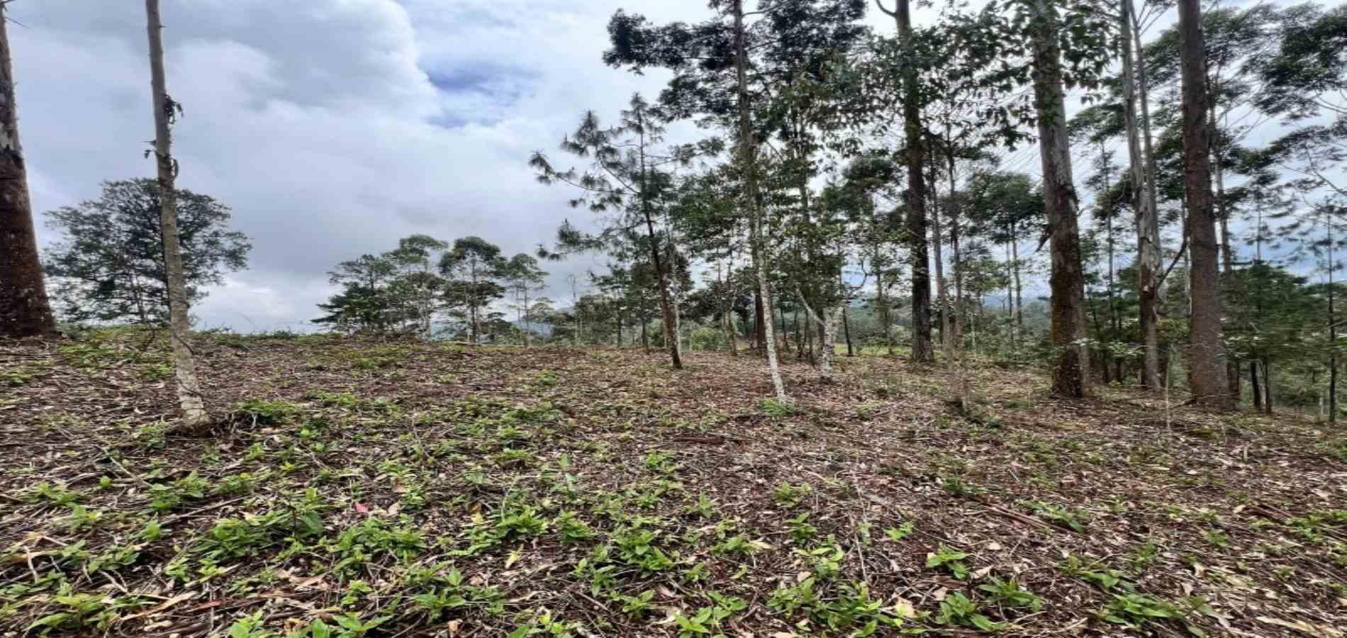 Lote en venta ubicado en El Retiro, sector Don Diego - 6