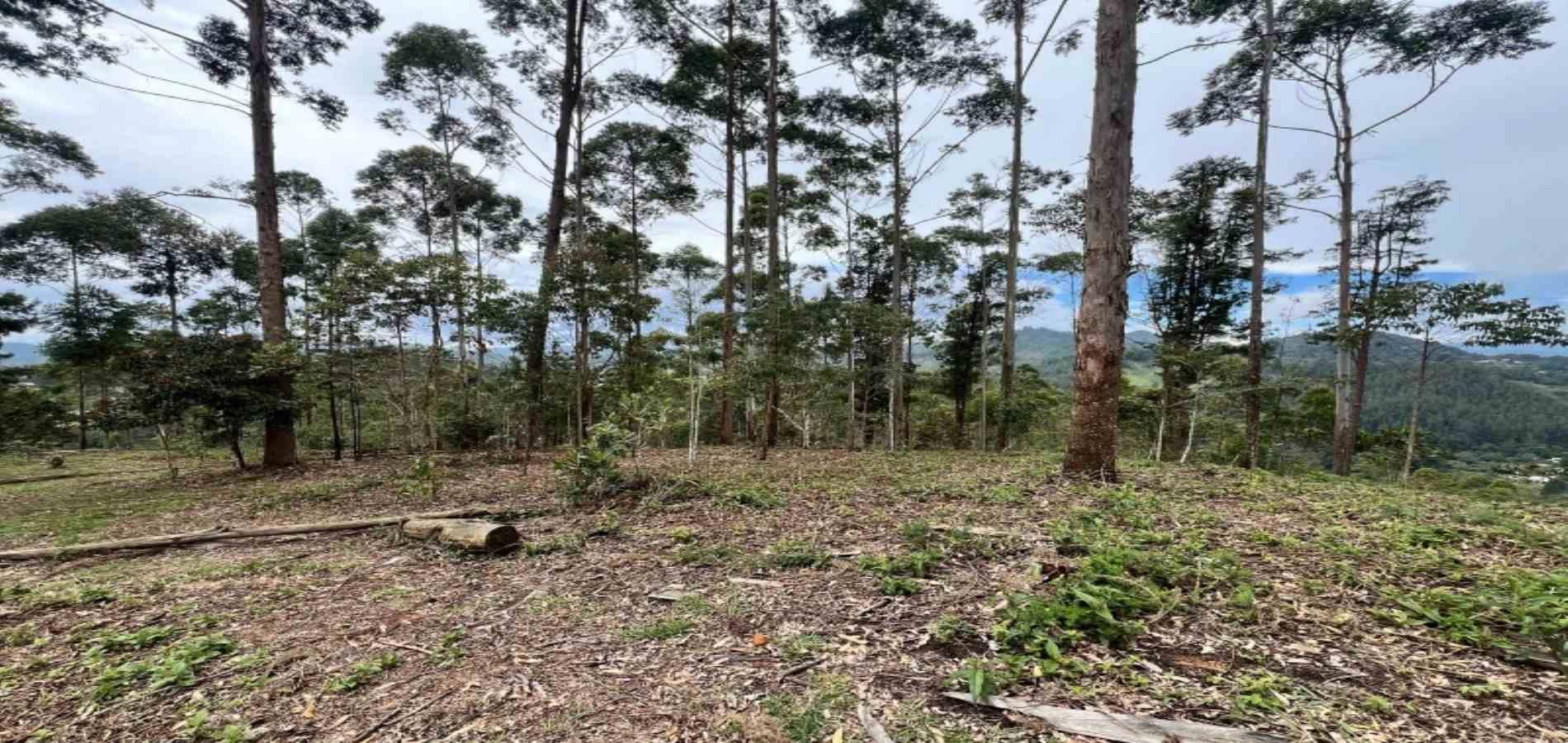 Lote en venta ubicado en El Retiro, sector Don Diego - 7