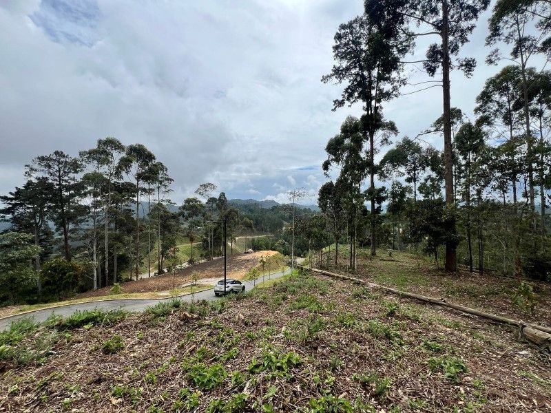 Lote en venta ubicado en El Retiro, sector Don Diego - 8