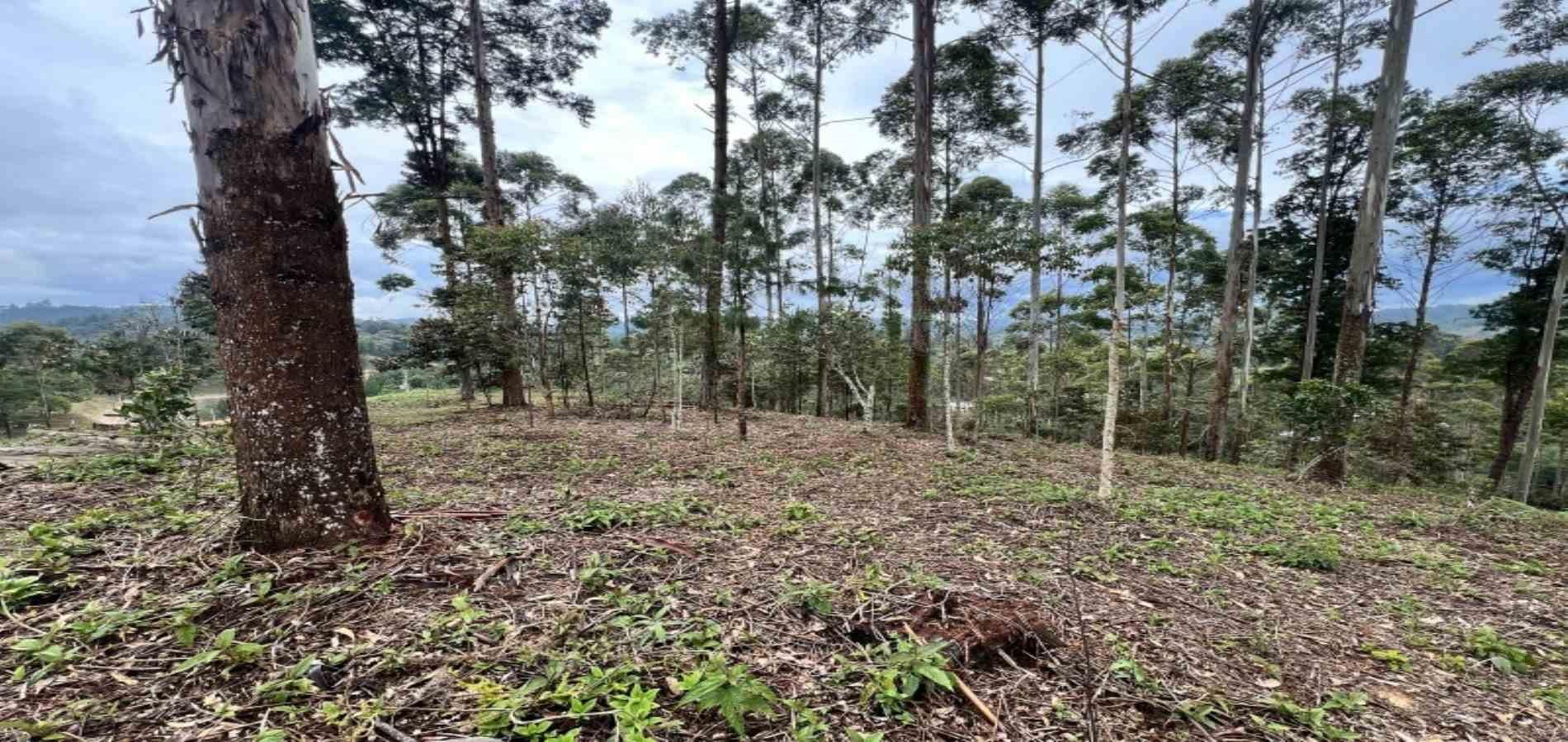 Lote en venta ubicado en El Retiro, sector Don Diego - 9