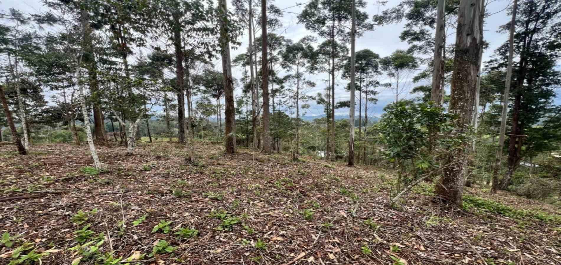 Lote en venta ubicado en El Retiro, sector Don Diego - 10