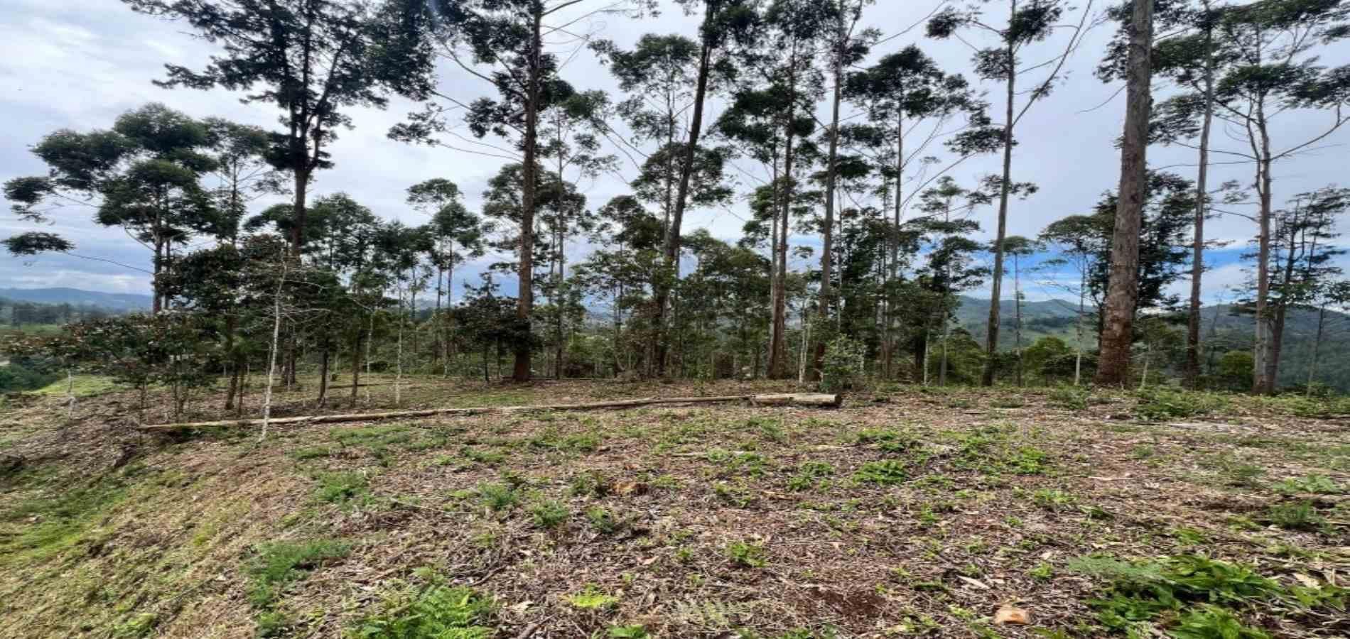 Lote en venta ubicado en El Retiro, sector Don Diego - 14