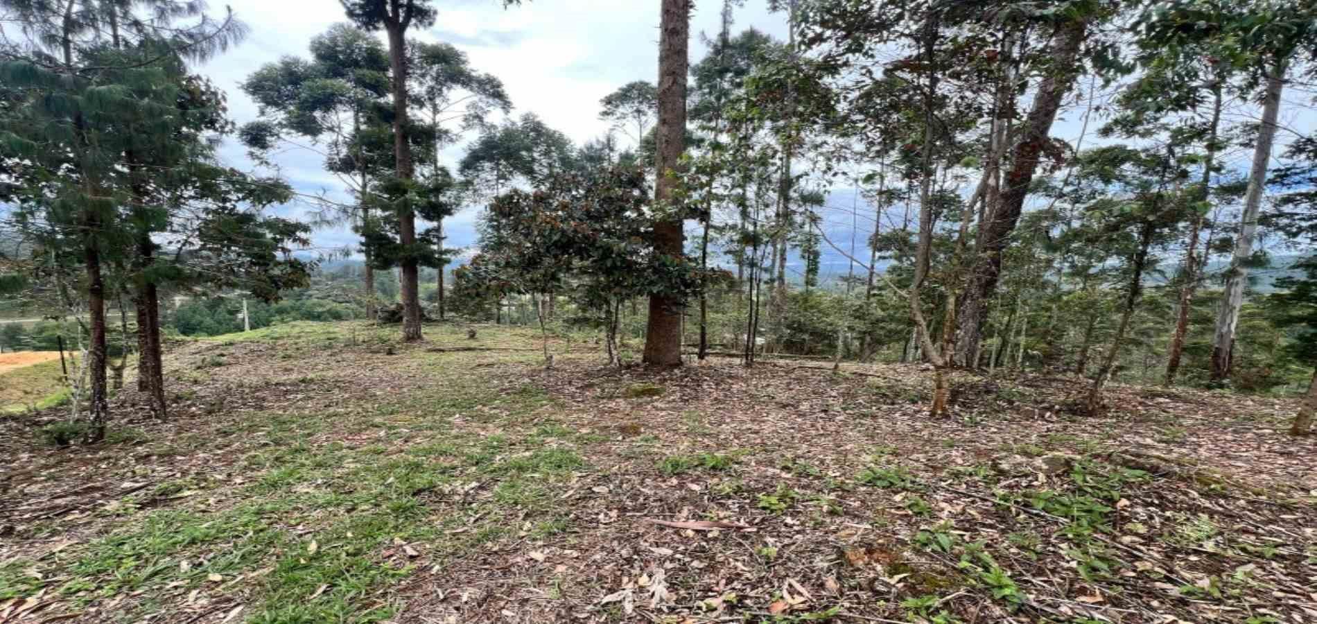 Lote en venta ubicado en El Retiro, sector Don Diego - 15