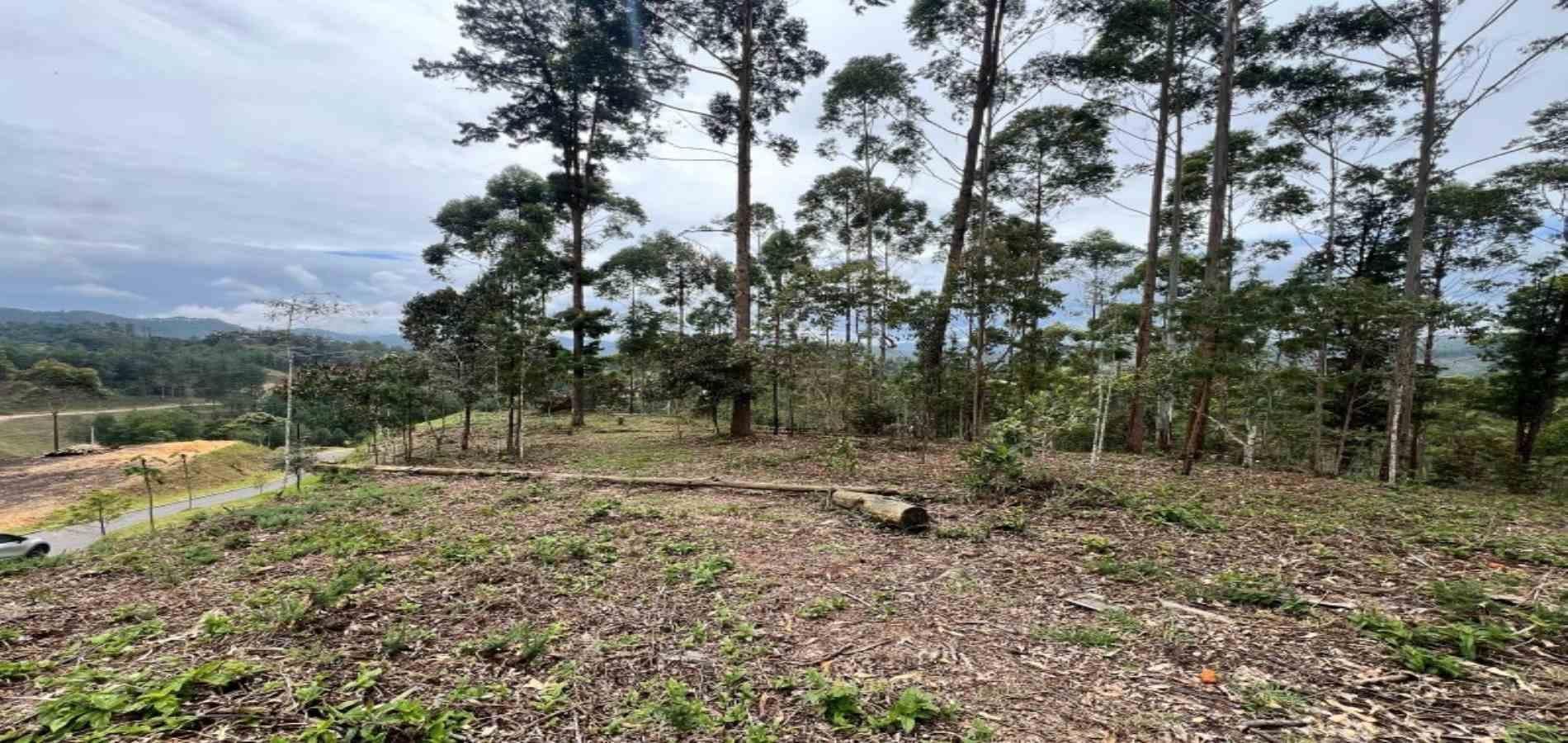 Lote en venta ubicado en El Retiro, sector Don Diego - 16