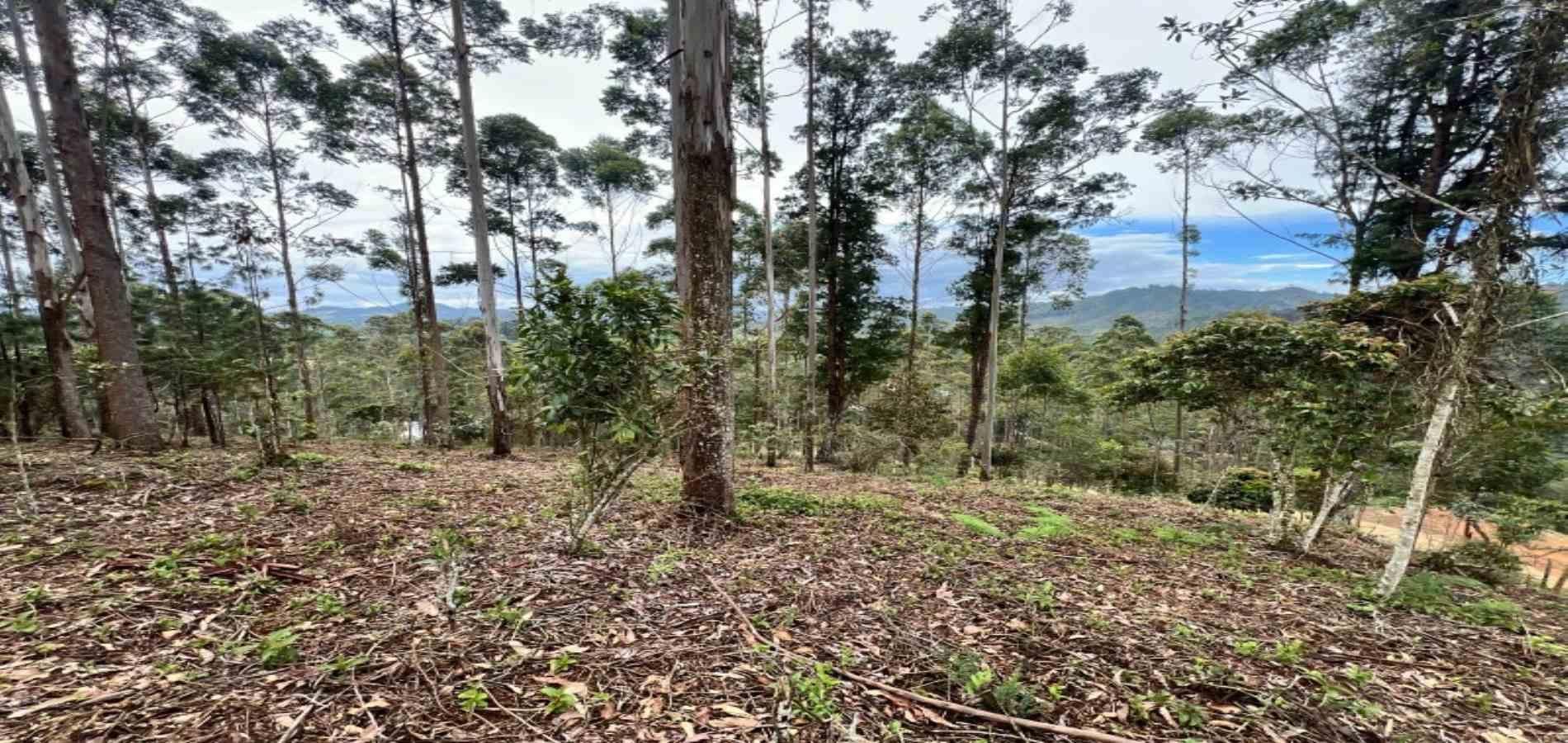 Lote en venta ubicado en El Retiro, sector Don Diego - 17