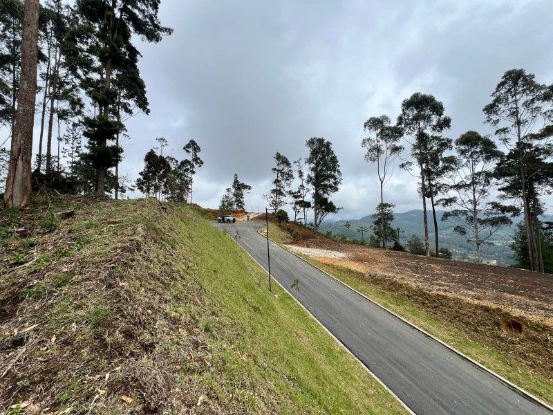 Lote en venta ubicado en El Retiro, sector Don Diego - 18