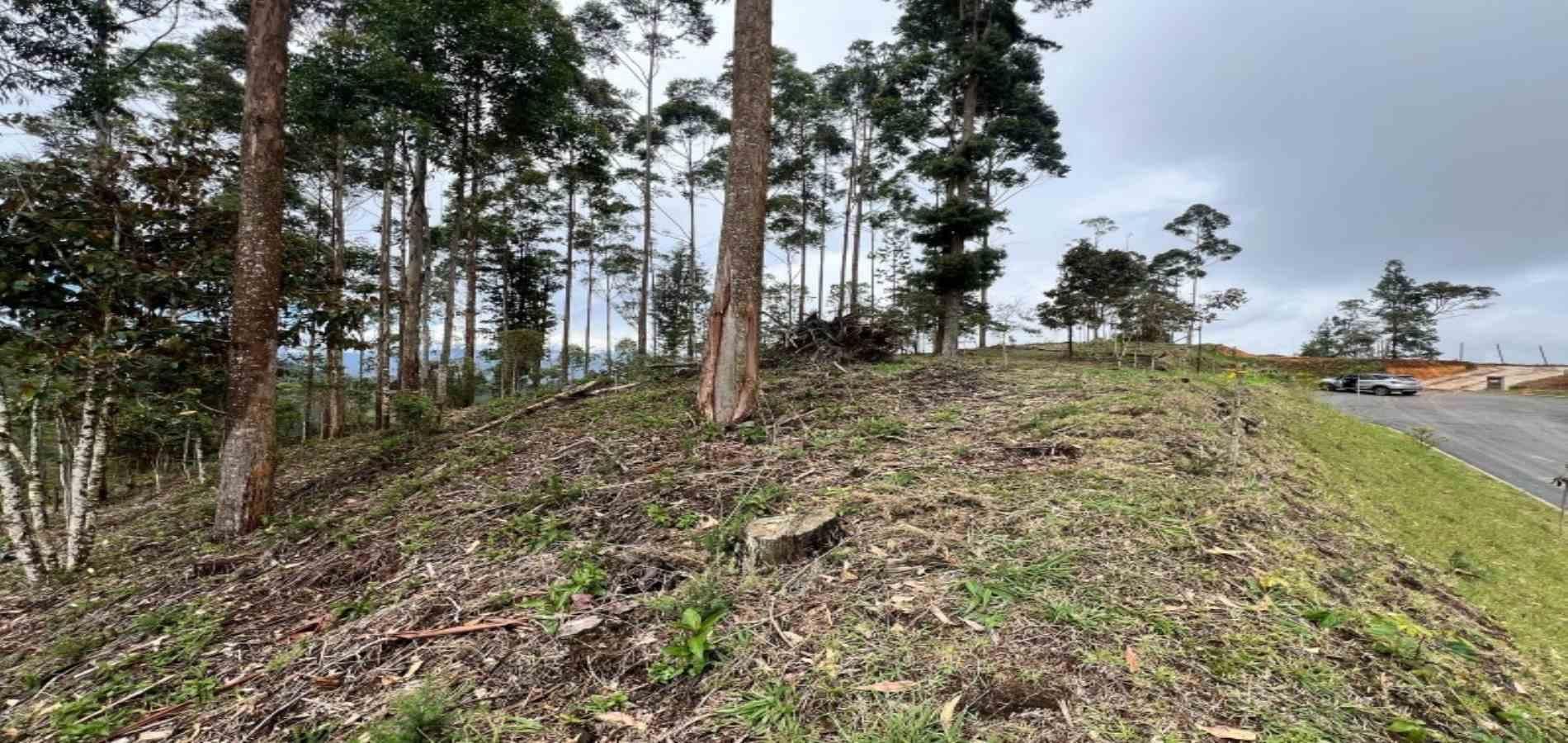 Lote en venta ubicado en El Retiro, sector Don Diego - 19