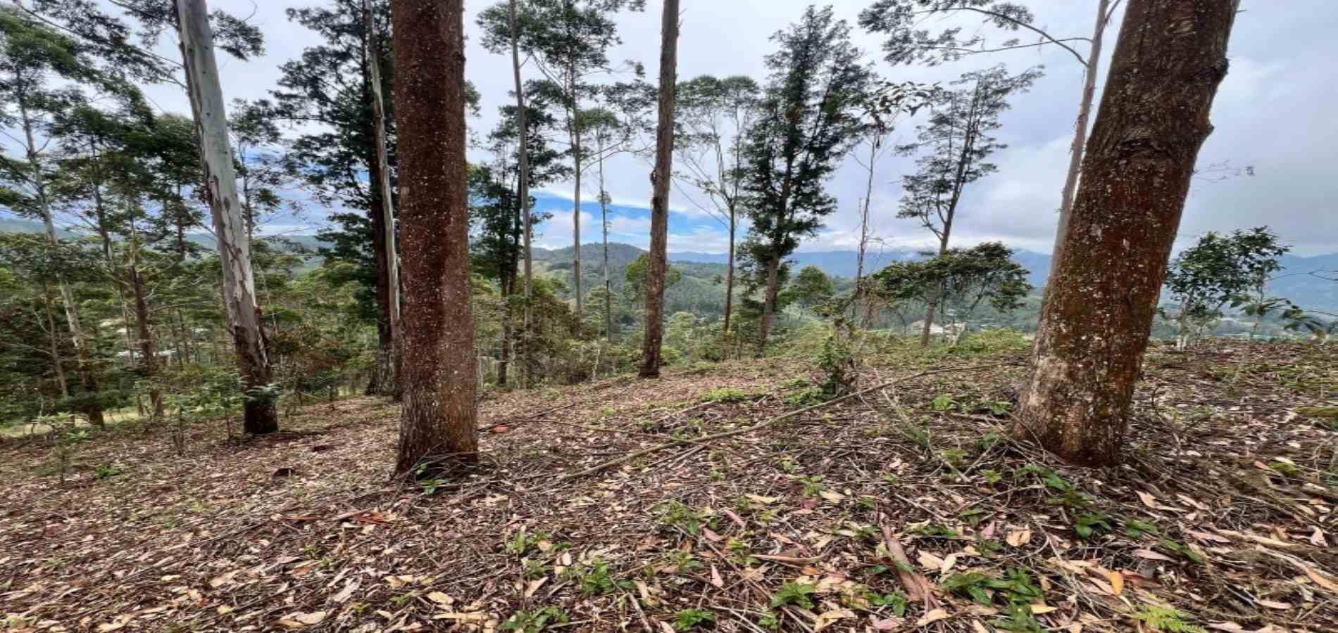 Lote en venta ubicado en El Retiro, sector Don Diego - 21