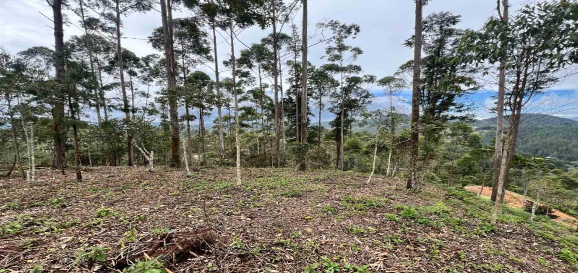 Lote en venta ubicado en El Retiro, sector Don Diego - 22