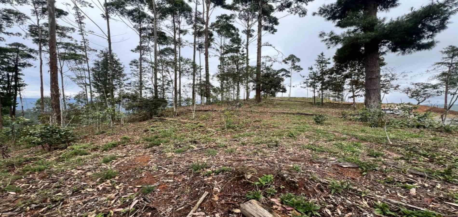 Lote en venta ubicado en El Retiro, sector Don Diego - 23