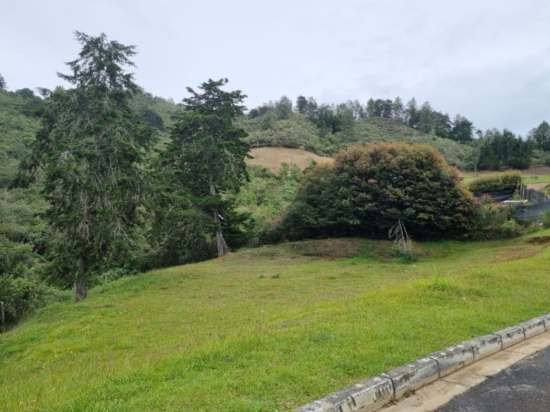 Lote en venta ubicado en El Retiro, sector El Chuscal - 3