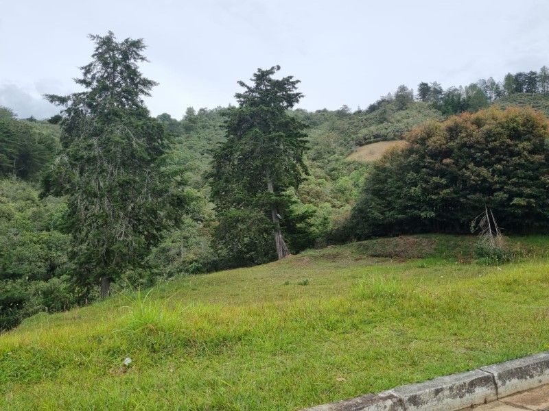 Lote en venta ubicado en El Retiro, sector El Chuscal - 4