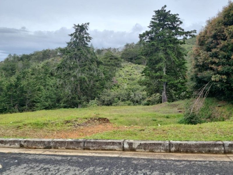 Lote en venta ubicado en El Retiro, sector El Chuscal - 5