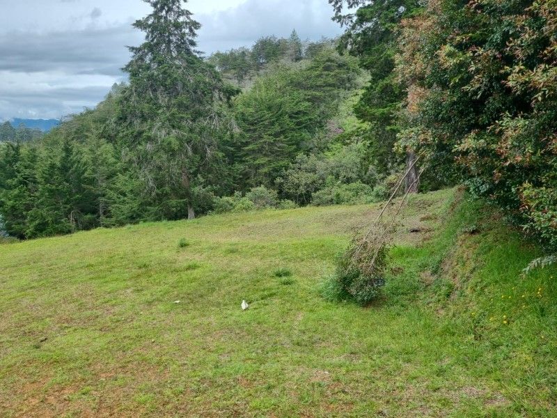 Lote en venta ubicado en El Retiro, sector El Chuscal - 6