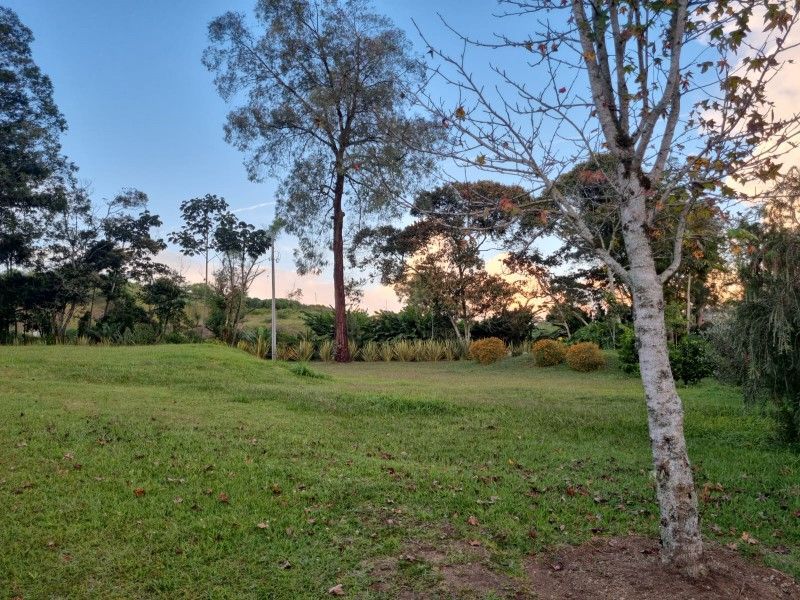 Lote en venta ubicado en La Ceja, sector Vereda Guamito - 4