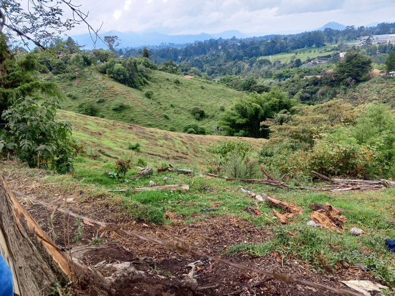 Lote en venta ubicado en Rionegro - 2