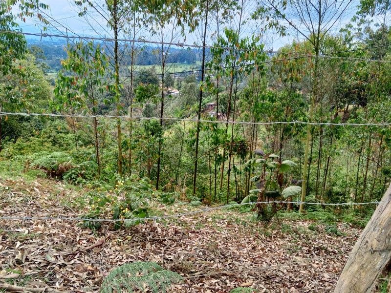 Lote en venta ubicado en Rionegro - 4