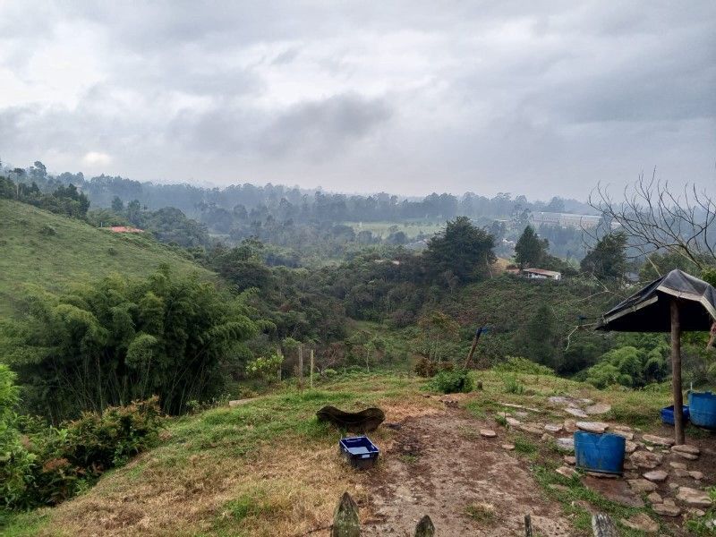Lote en venta ubicado en Rionegro - 6