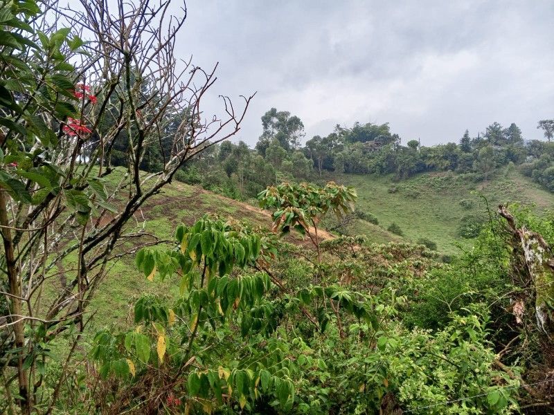 Lote en venta ubicado en Rionegro - 8