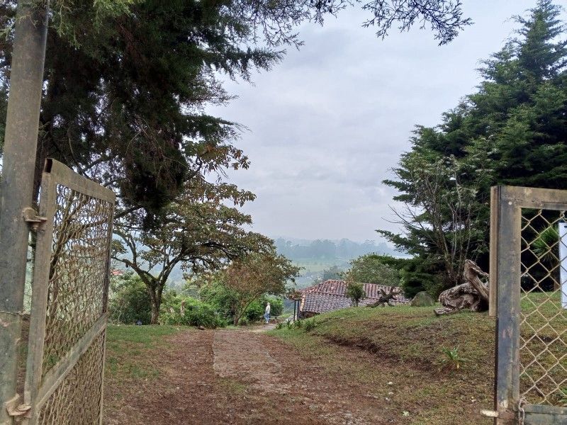 Lote en venta ubicado en Rionegro - 9