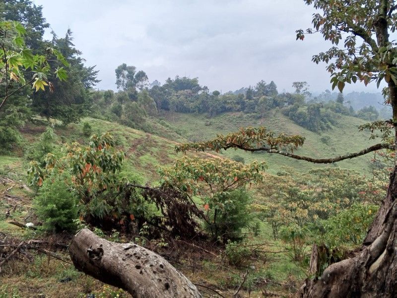 Lote en venta ubicado en Rionegro - 10