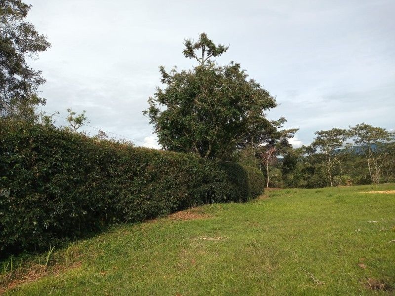 Lote en venta ubicado en Rionegro, sector Tablazo - 2
