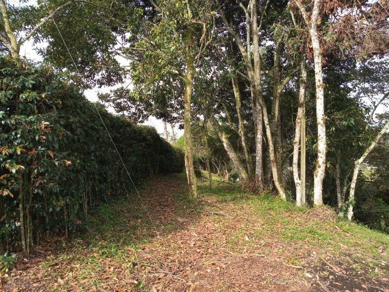 Lote en venta ubicado en Rionegro, sector Tablazo - 3
