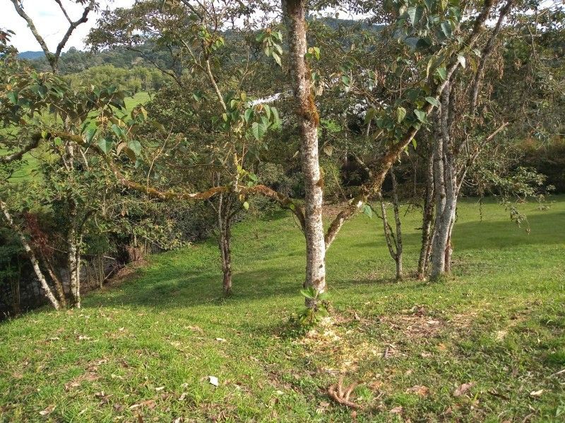Lote en venta ubicado en Rionegro, sector Tablazo - 4