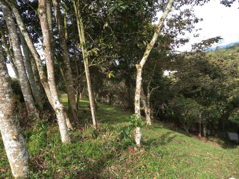 Lote en venta ubicado en Rionegro, sector Tablazo - 5