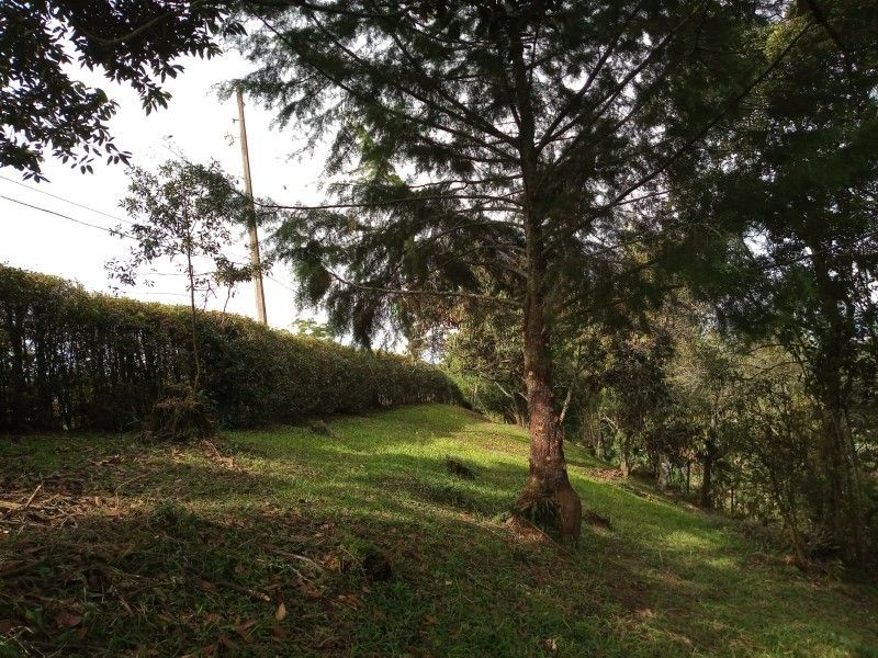 Lote en venta ubicado en Rionegro, sector Tablazo - 6