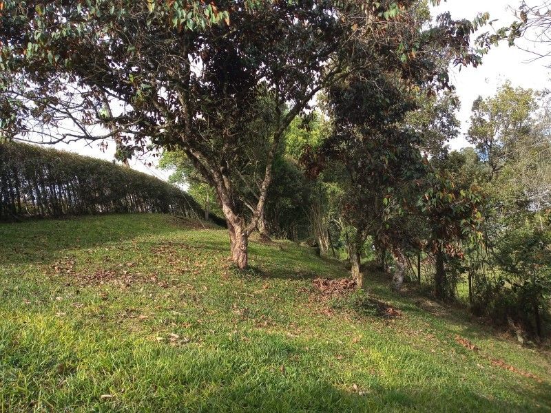 Lote en venta ubicado en Rionegro, sector Tablazo - 7
