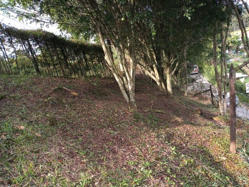 Lote en venta ubicado en Rionegro, sector Tablazo - 8