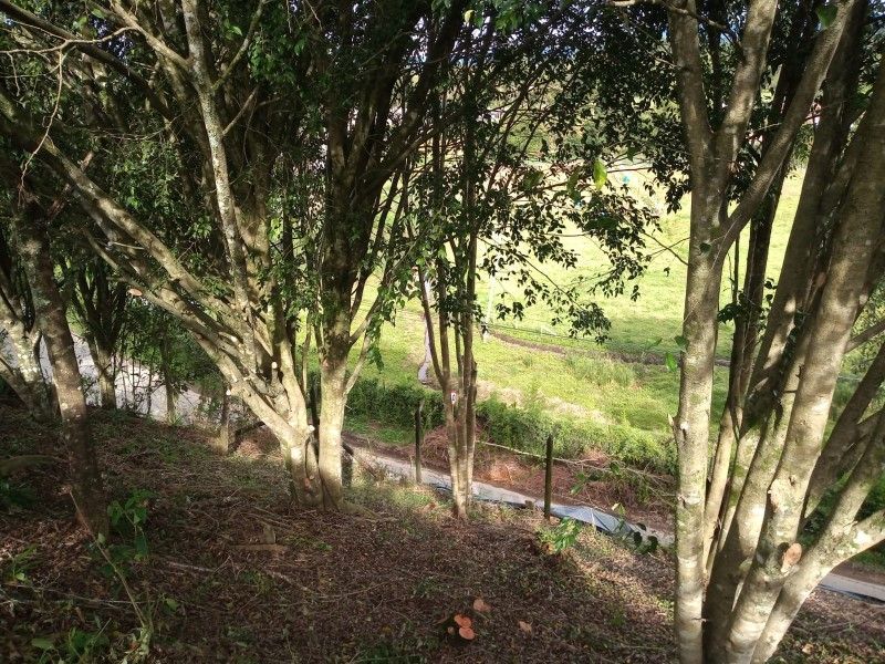 Lote en venta ubicado en Rionegro, sector Tablazo - 9