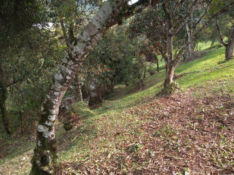 Lote en venta ubicado en Rionegro, sector Tablazo - 10