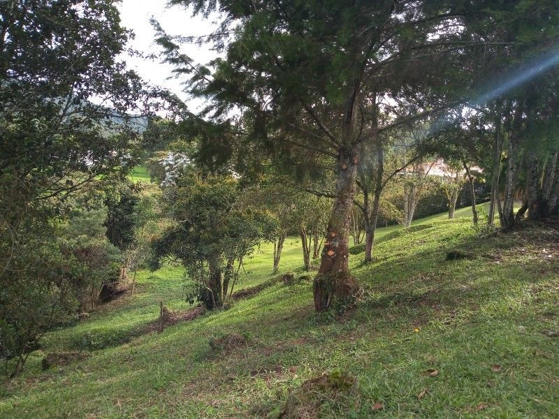 Lote en venta ubicado en Rionegro, sector Tablazo - 12