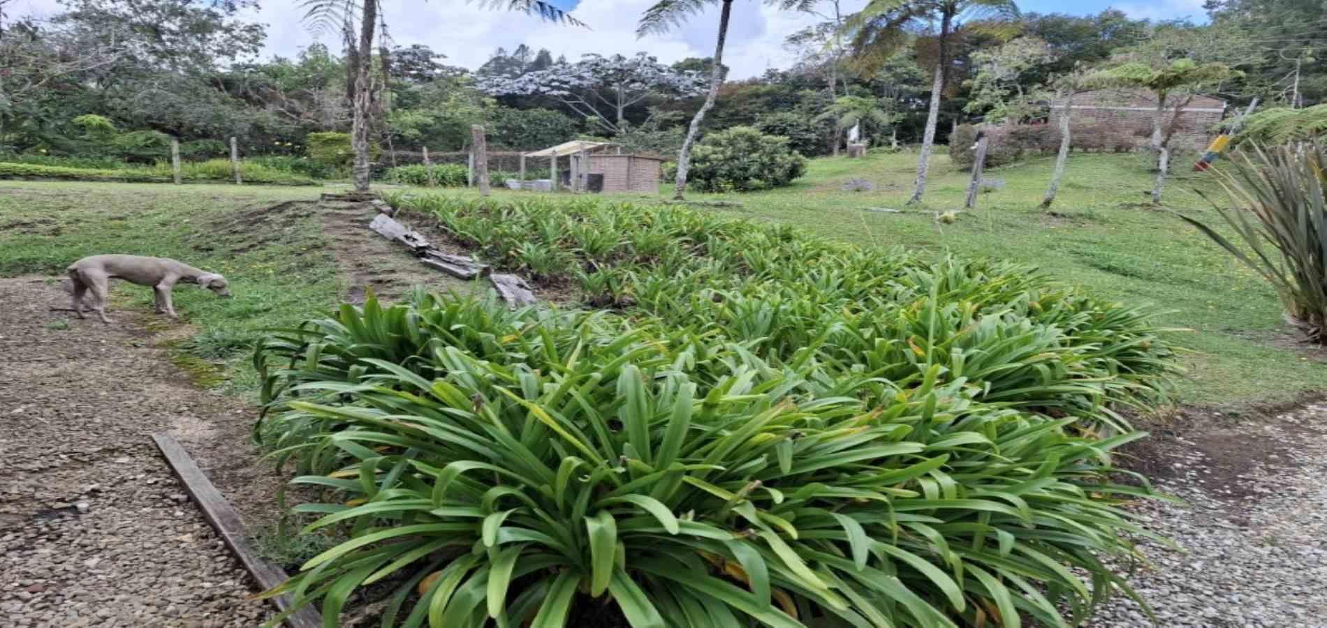 Casa en venta ubicada en El Retiro, sector Colegio Vermont - 21