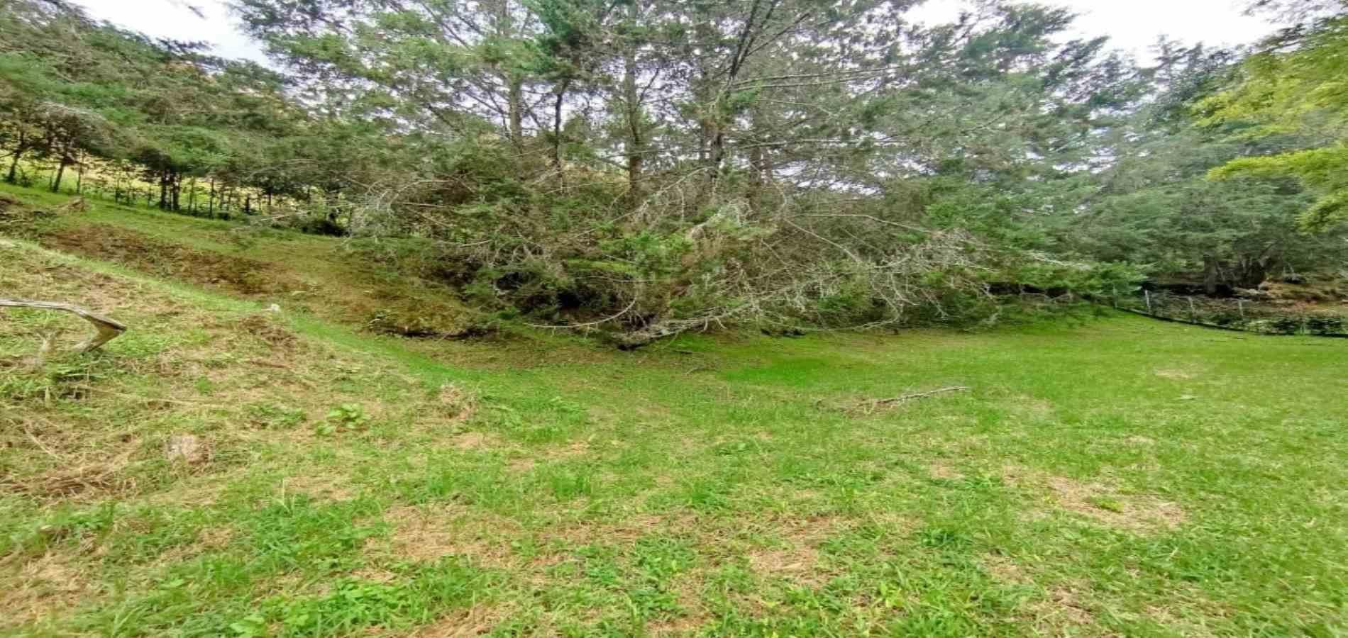 Lote en venta ubicado en El Retiro, sector El Chuscal - 4