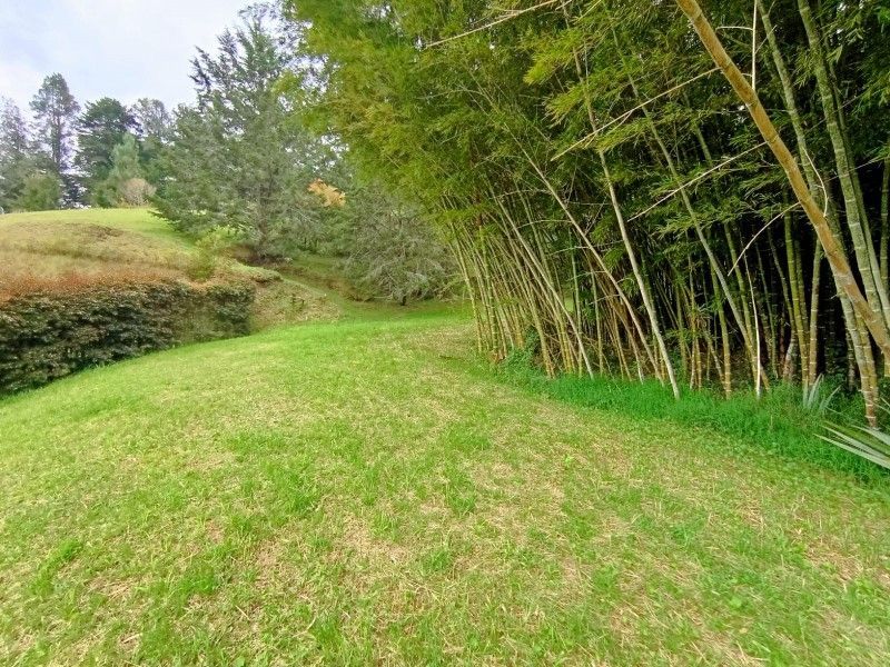 Lote en venta ubicado en El Retiro, sector El Chuscal - 5