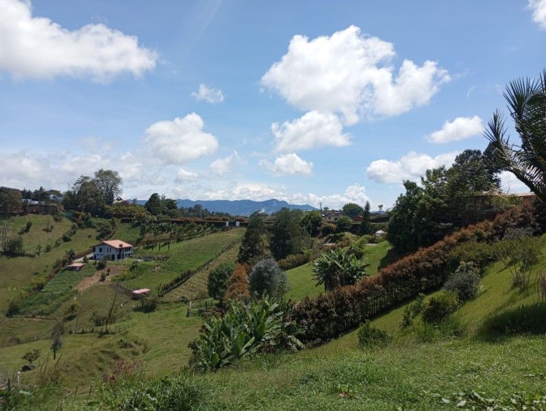 Finca en venta ubicada en Marinilla, sector Vereda el Chagualo - 16