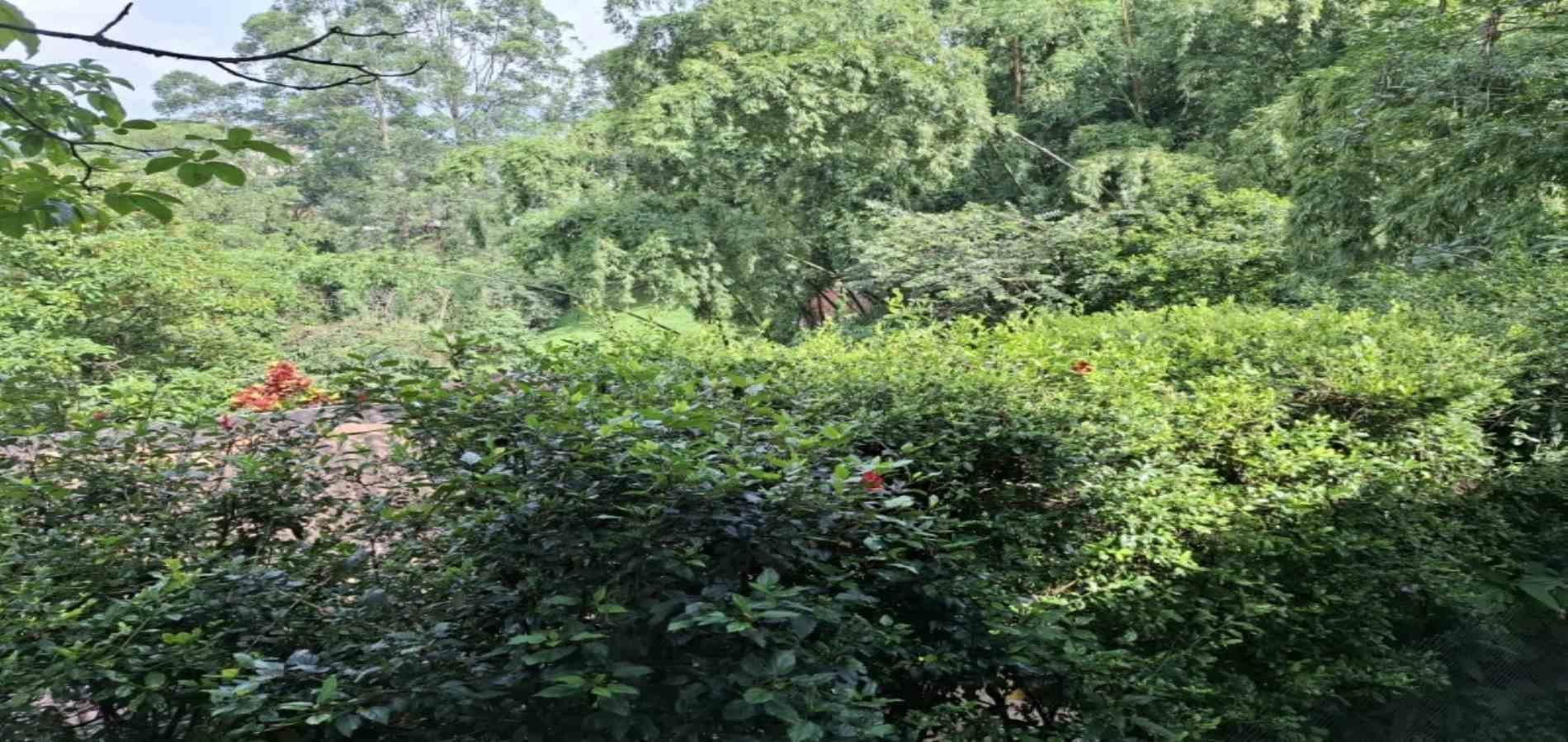 Casa en venta ubicada en Envigado, sector El Chingui - 22