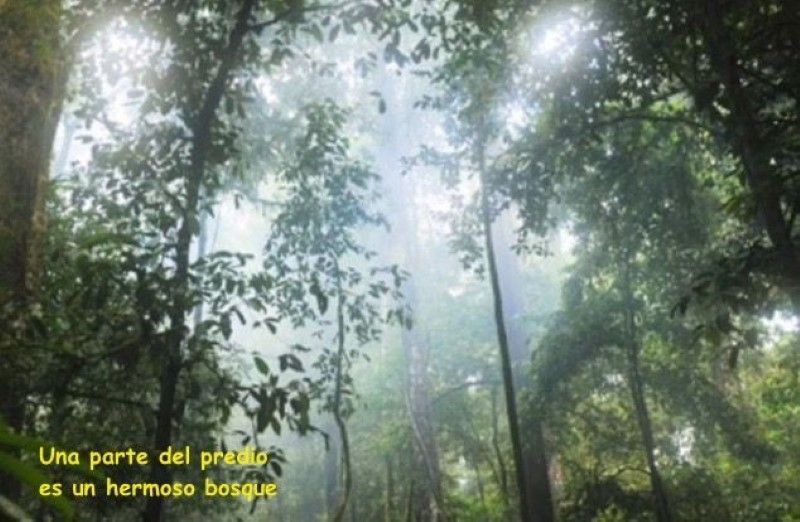 Lote en venta ubicado en Rionegro, sector Sajonia - 3