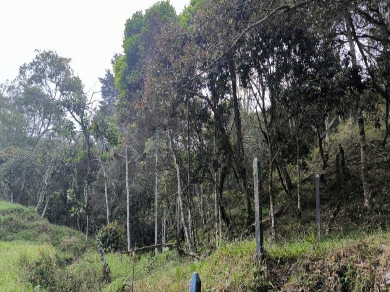 Lote en venta ubicado en Medellín, sector Vereda la Honda - 2