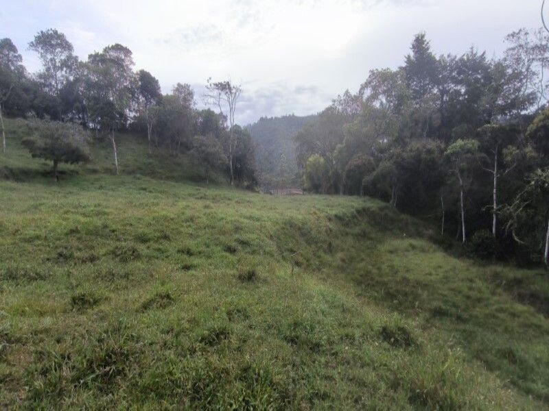 Lote en venta ubicado en Medellín, sector Vereda la Honda - 5