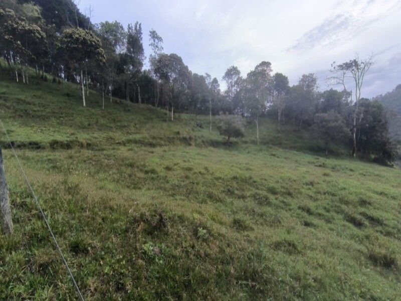 Lote en venta ubicado en Medellín, sector Vereda la Honda - 6